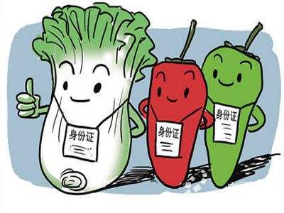 在線(xiàn)飛行激光打標機